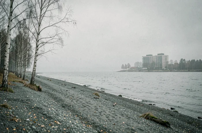 Deserted Scandinavian beach in autumn with cloudy sky and morning mist, a typical landscape from the Swedish series Quicksand